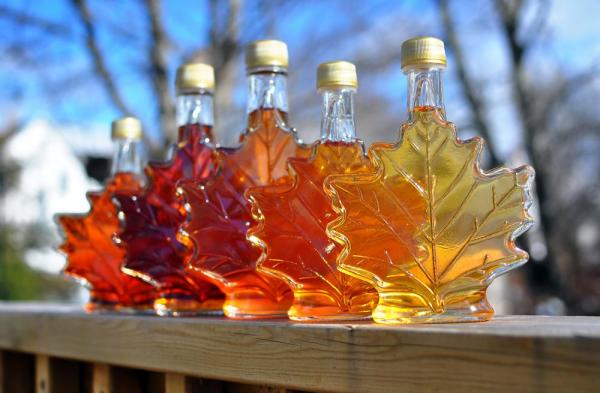 5.000 Galon Sirup Maple Hilang Dicuri Di Kanada