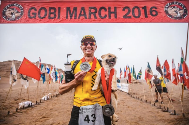 Seekor Anjing Turut dalam Gobi Desert March 2016