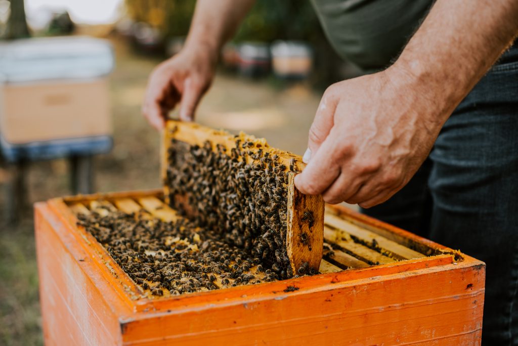 (Gambar Ilustrasi) Photo by Kateryna Hliznitsova on Unsplash